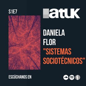 Daniela Flor "Sistemas Sociotécnicos"